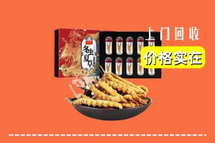 玄武区回收冬虫夏草